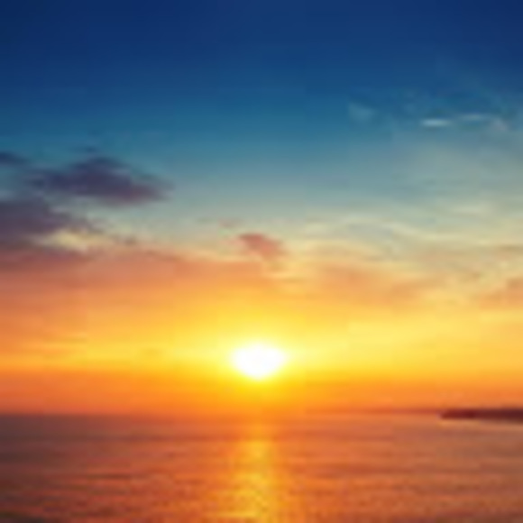 Meet your Posher, Mikayla - Picture 1 of 1